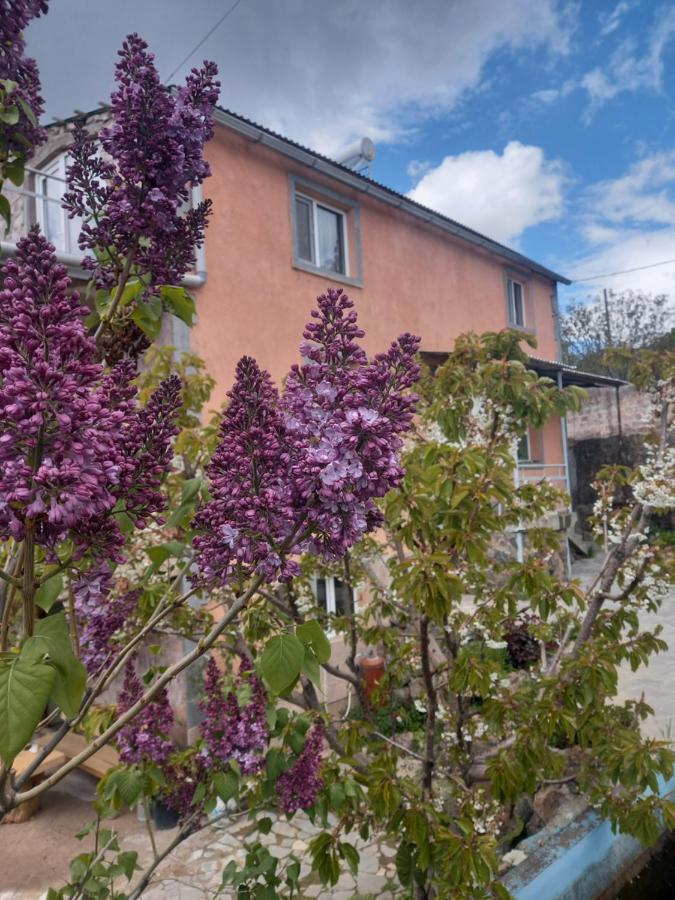 Byurakan Guesthouse Bagian luar foto